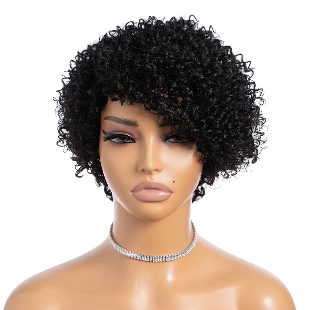 Kinky Curly Wigs Human Hair  Side Part Afro Kinky Curly Wigs for  Women  Pixie Cut Curly Wigs Human Hair